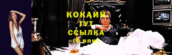 скорость Липки