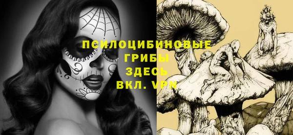 mdpv Алзамай