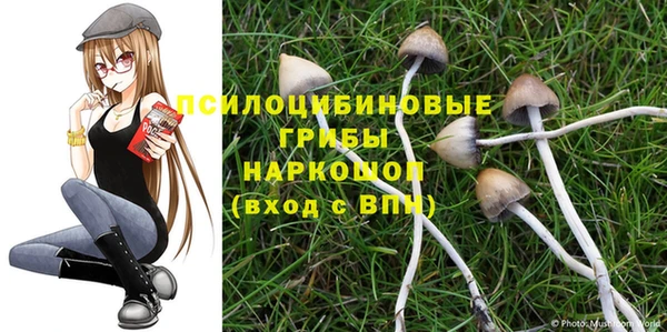 скорость Алексеевка