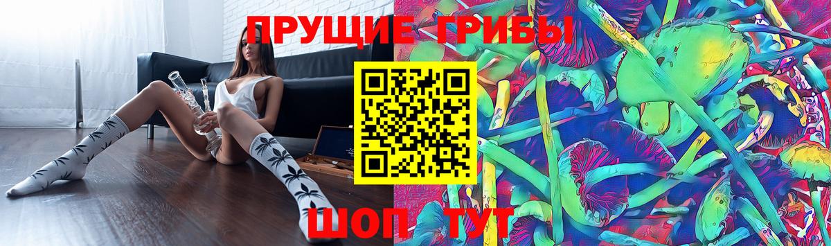 Галлюциногенные грибы ЛСД Томск