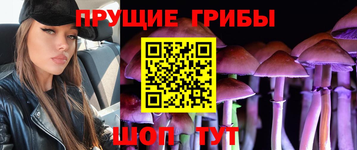 Псилоцибиновые грибы Psilocybine cubensis  Вход с VPN  Псилоцибиновые грибы мухоморы  Томск 